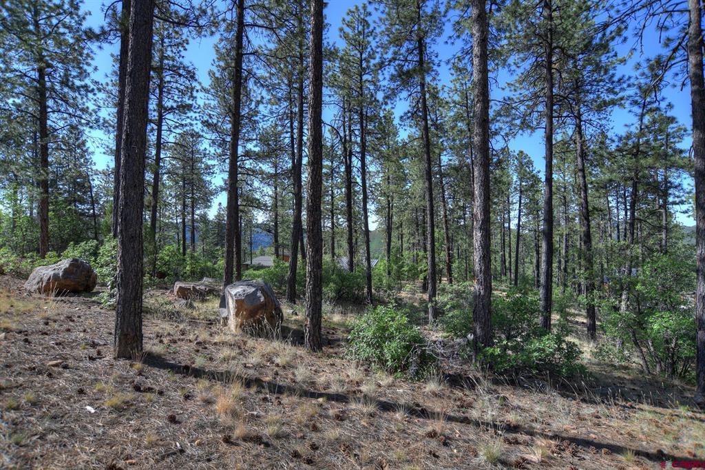 109 Cabin Creek Drive Property Photo 10