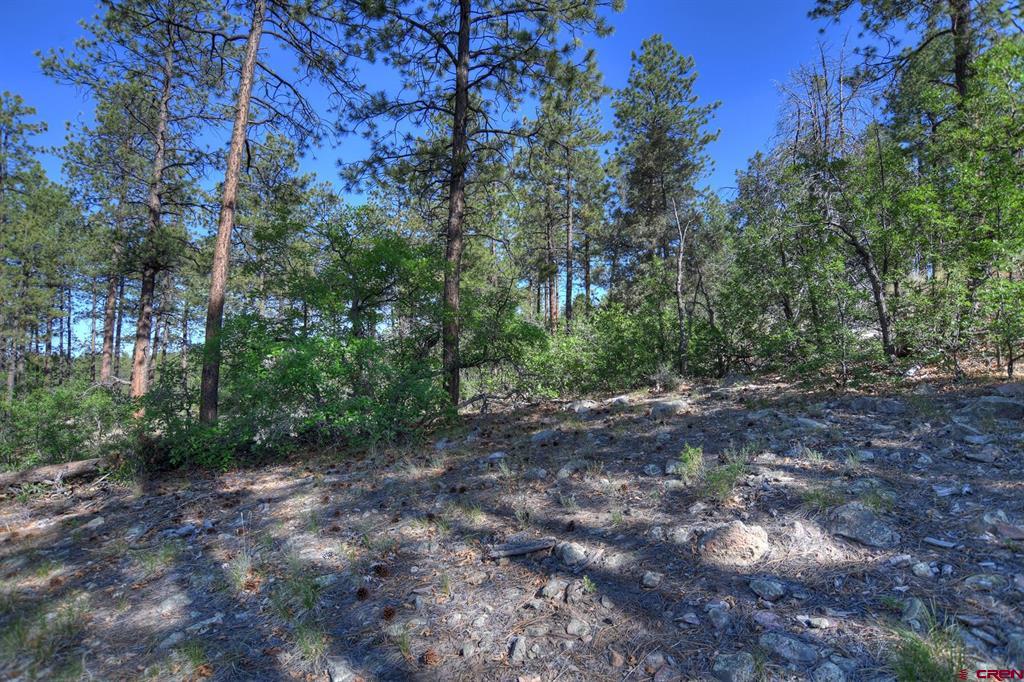 109 Cabin Creek Drive Property Photo 11