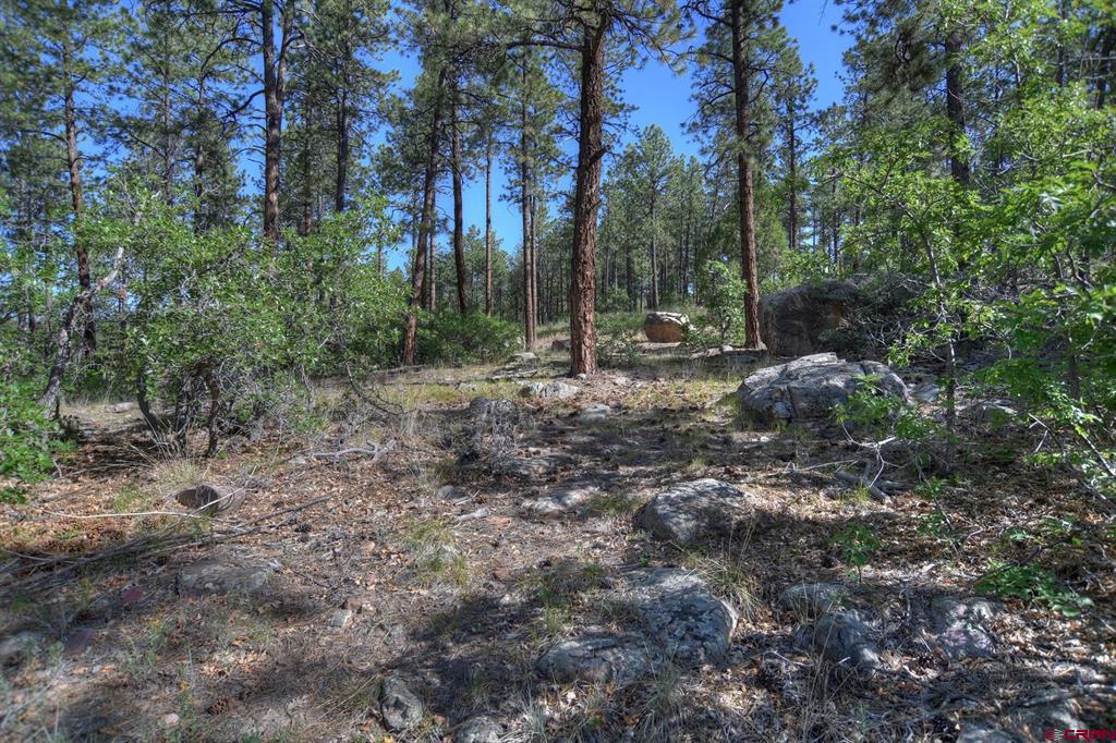 109 Cabin Creek Drive Property Photo 12