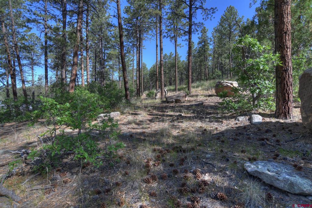 109 Cabin Creek Drive Property Photo 13
