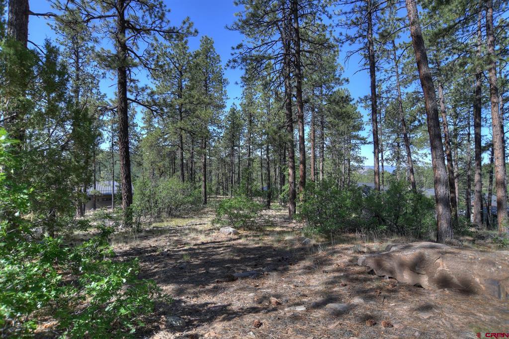 109 Cabin Creek Drive Property Photo 14