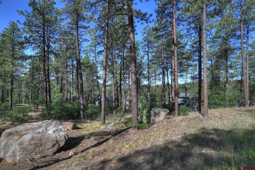109 Cabin Creek Drive Property Photo 15