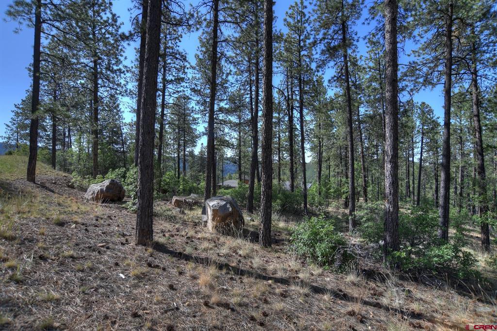 109 Cabin Creek Drive Property Photo 16