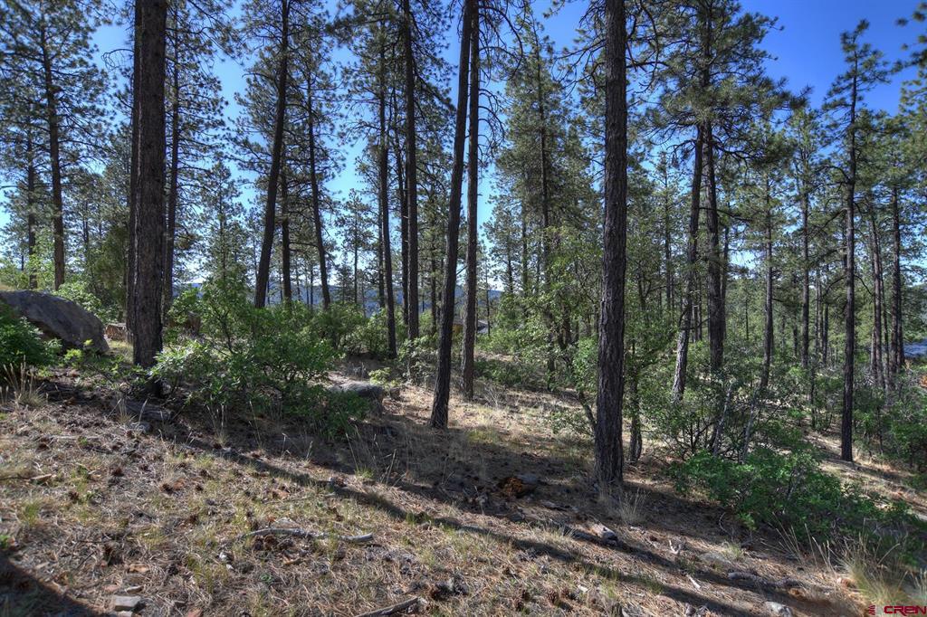 109 Cabin Creek Drive Property Photo 17