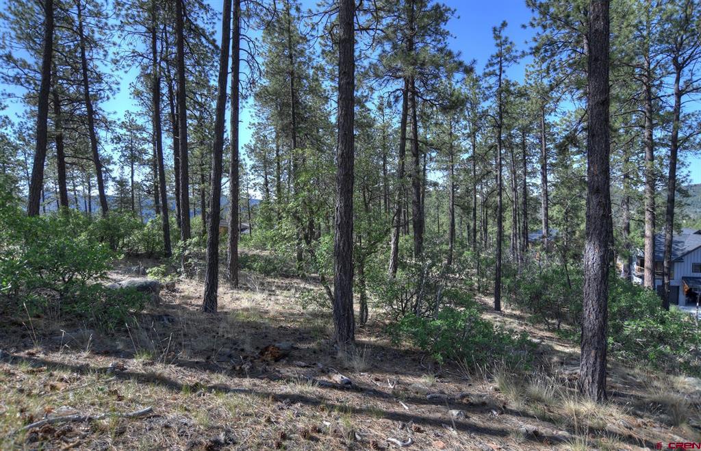 109 Cabin Creek Drive Property Photo 18