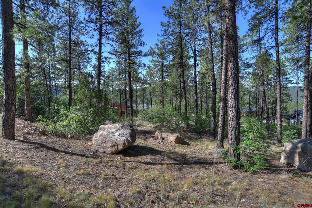 109 Cabin Creek Drive Property Photo 19