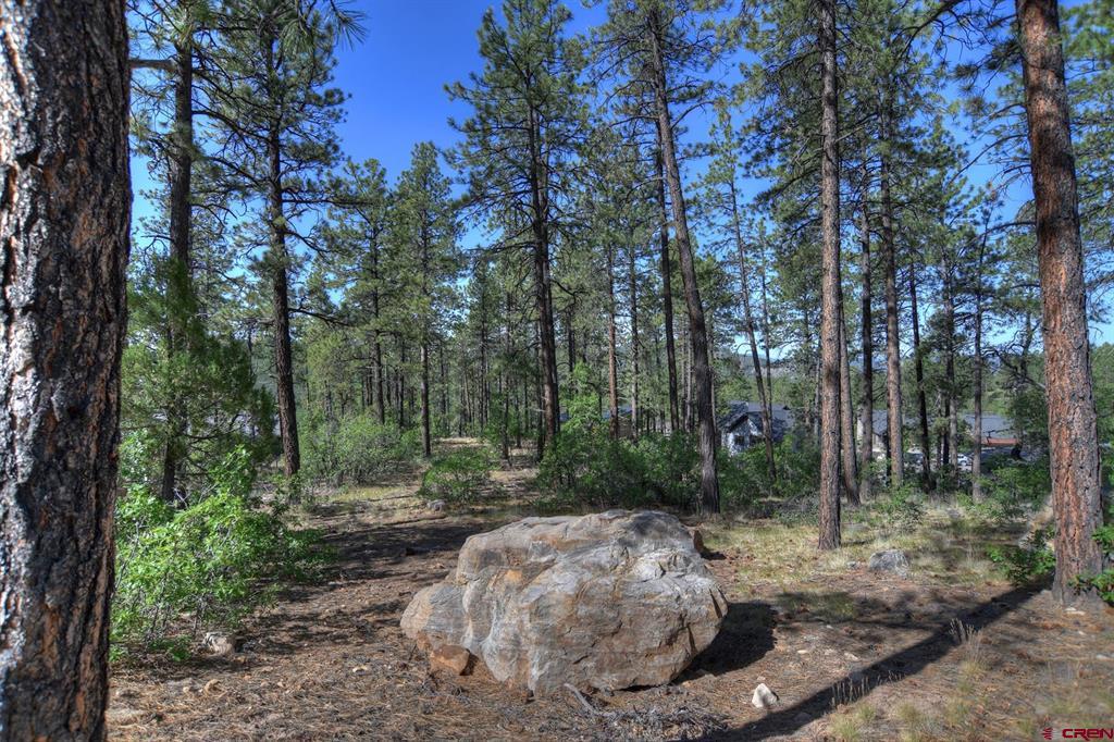 109 Cabin Creek Drive Property Photo 20
