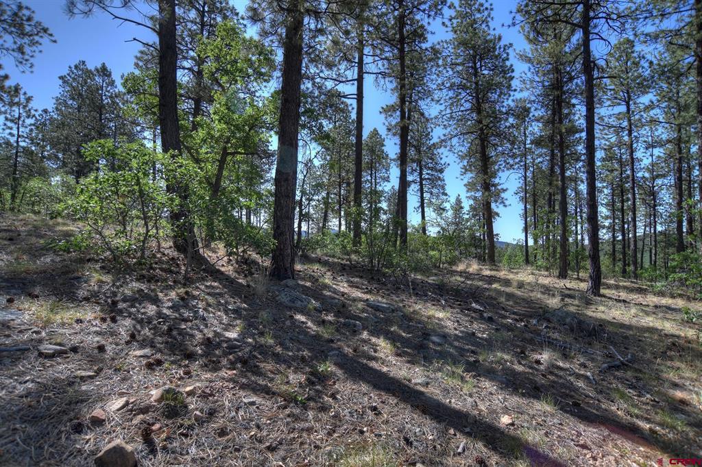 109 Cabin Creek Drive Property Photo 21
