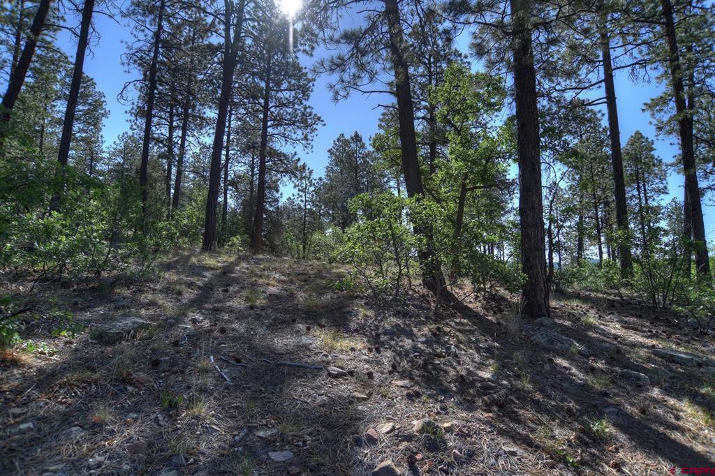 109 Cabin Creek Drive Property Photo 22