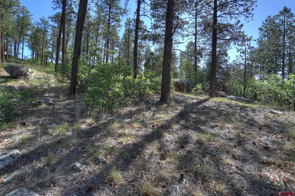 109 Cabin Creek Drive Property Photo 23