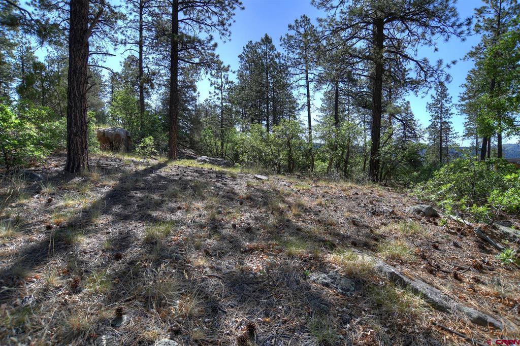 109 Cabin Creek Drive Property Photo 25