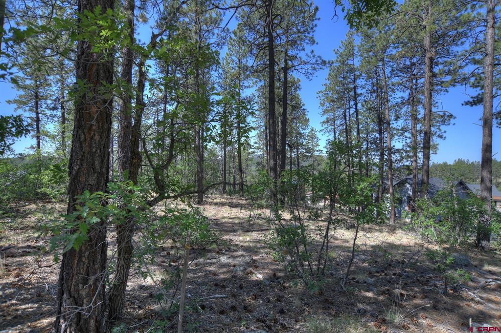 109 Cabin Creek Drive Property Photo 26