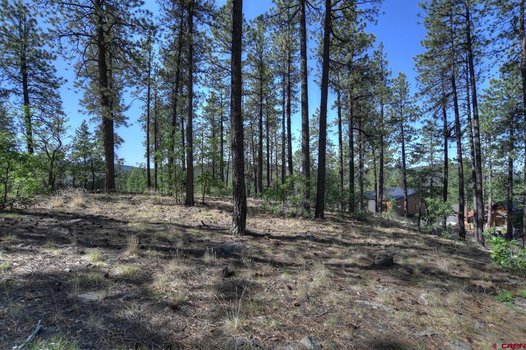 109 Cabin Creek Drive Property Photo 28