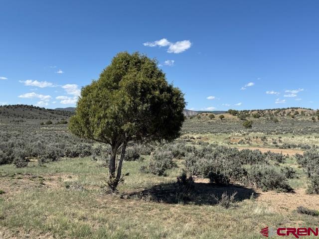 X Rockcliff Circle Property Photo 3