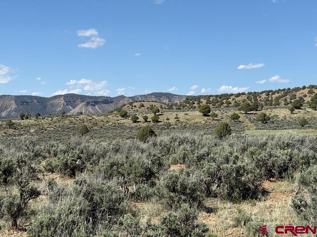 X Rockcliff Circle Property Photo 4