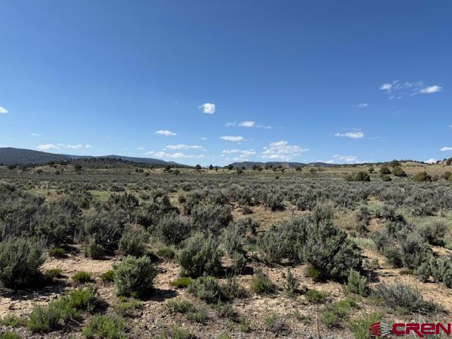 X Rockcliff Circle Property Photo 8