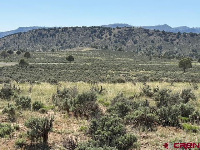 X Rockcliff Circle Property Photo 10