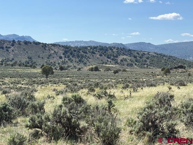 X Rockcliff Circle Property Photo 11