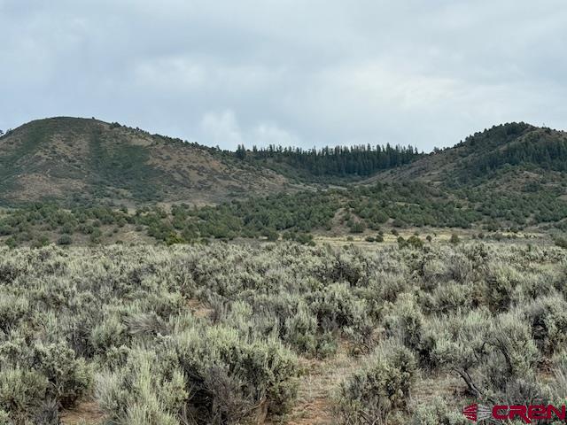 X Rockcliff Circle Property Photo 17