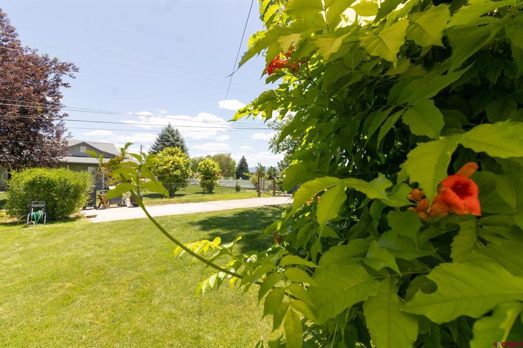 1702 Rolling Road Property Photo 26