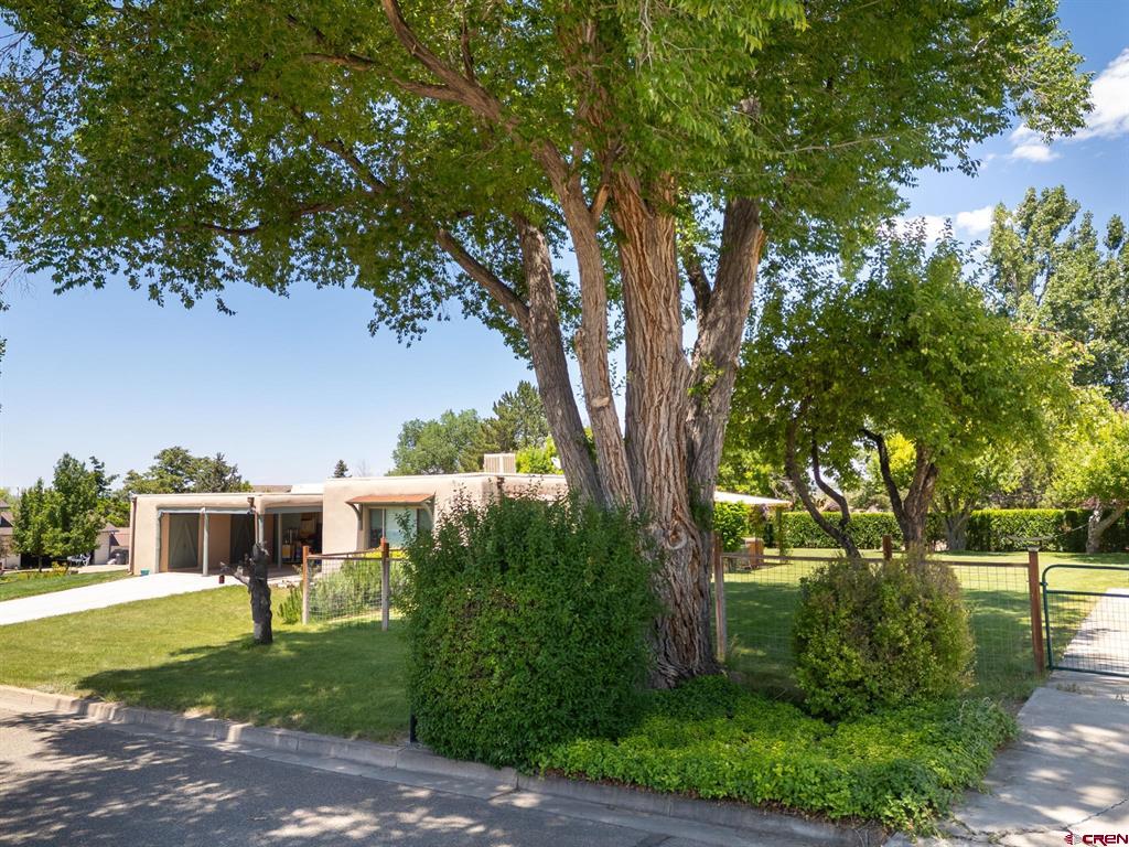 1702 Rolling Road Property Photo 40
