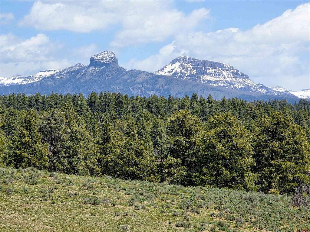109 Hemlock Property Photo 8