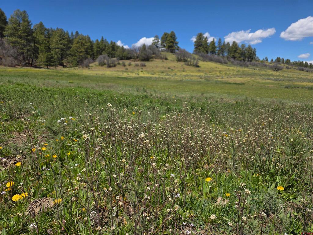 109 Hemlock Property Photo 10