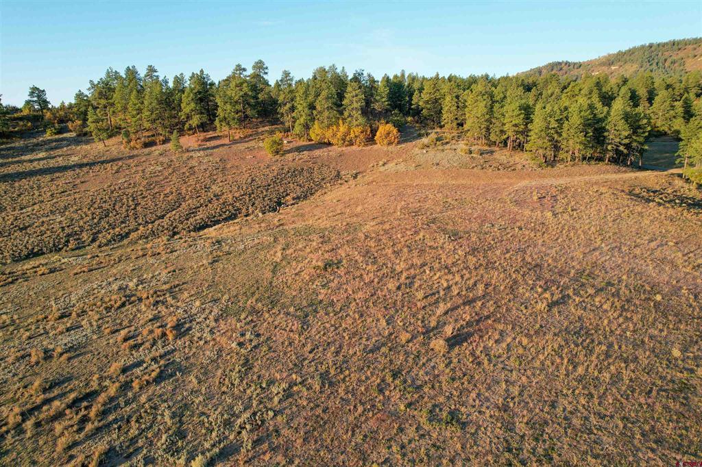 109 Hemlock Property Photo 17