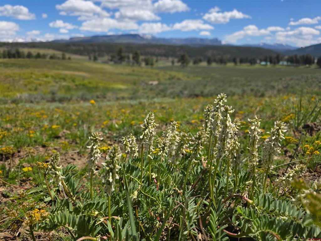 109 Hemlock Property Photo 21