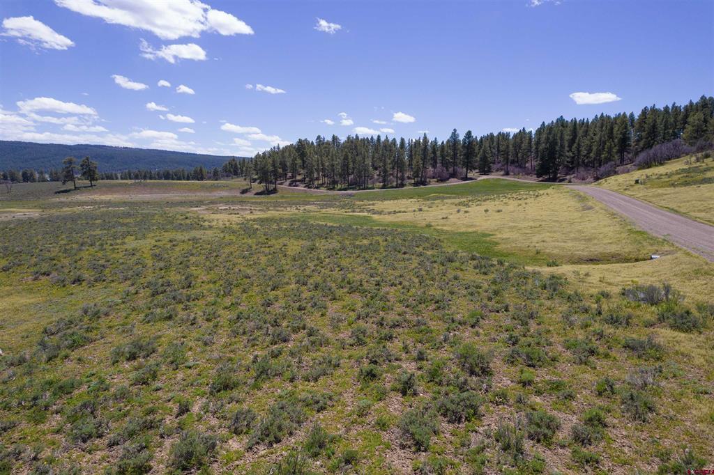 109 Hemlock Property Photo 23