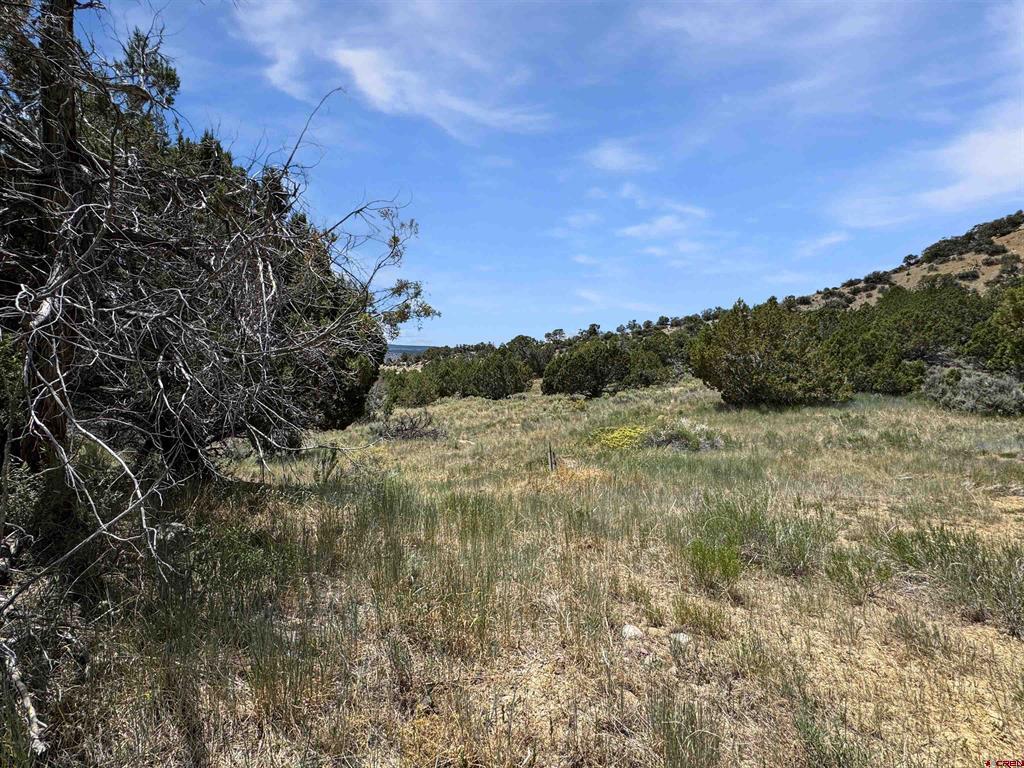 43157 Long Gulch Road Property Photo 28