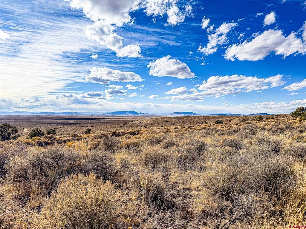 0 Calvary Trail Property Photo 5