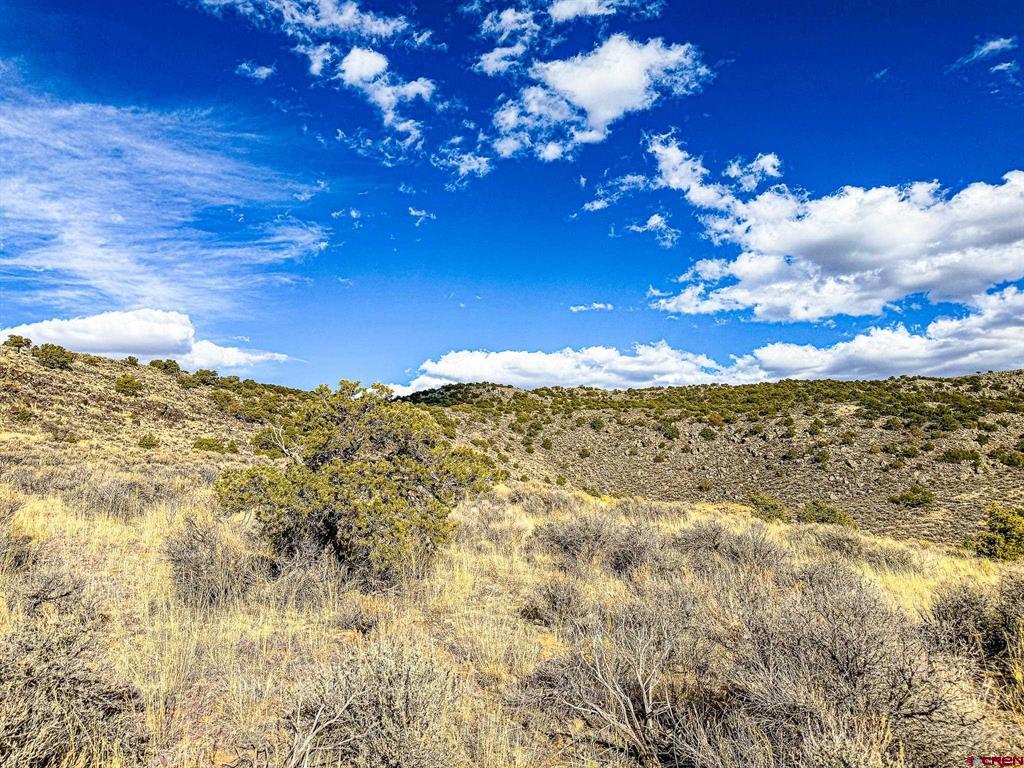 0 Calvary Trail Property Photo 6