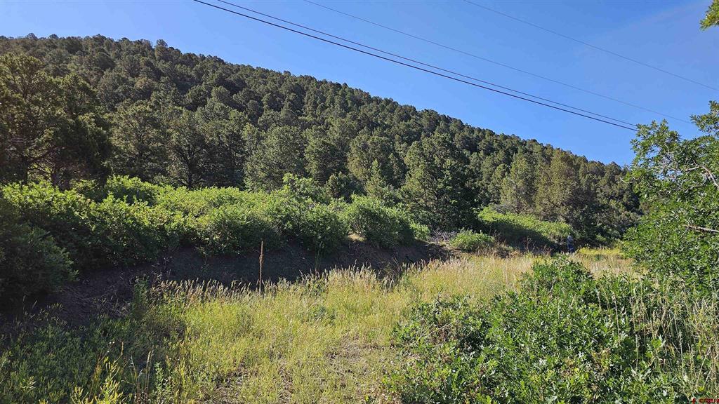 Tbd Ward Creek Road Property Photo 1
