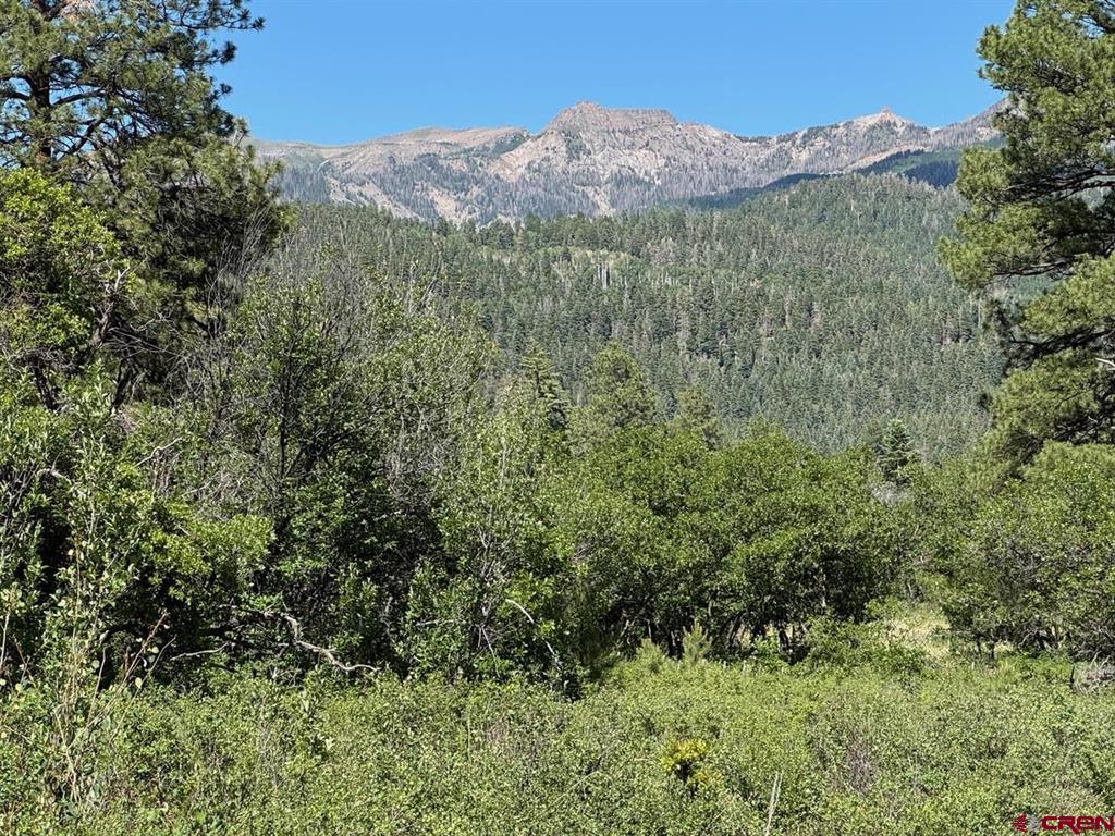 1800 Needles View Place Property Photo