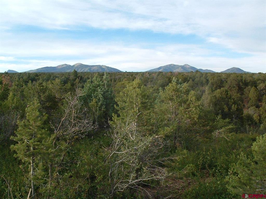 Tbd De Oro Way Property Photo 1