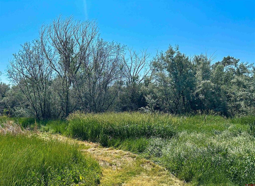 7276 5550 Road Property Photo 37