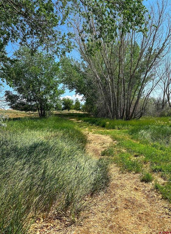 7276 5550 Road Property Photo 38