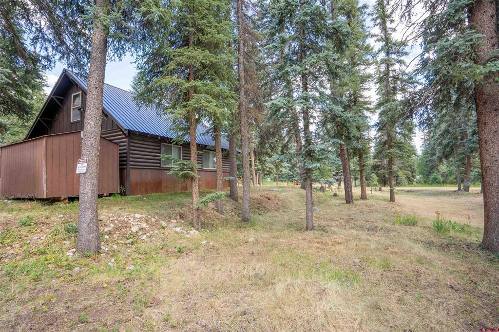 403 Ponderosa Homes Drive Property Photo 6