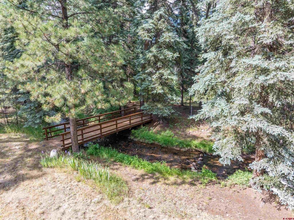 403 Ponderosa Homes Drive Property Photo 9