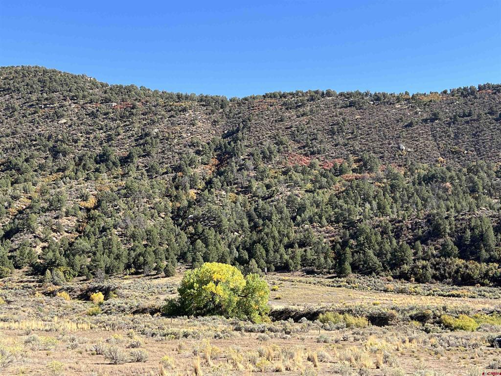 Tbd Road 41 Property Photo 3