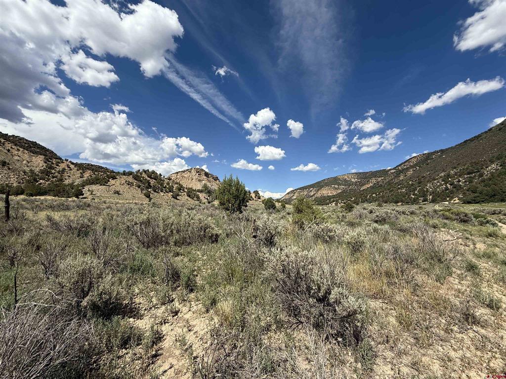 Tbd Road 41 Property Photo 15