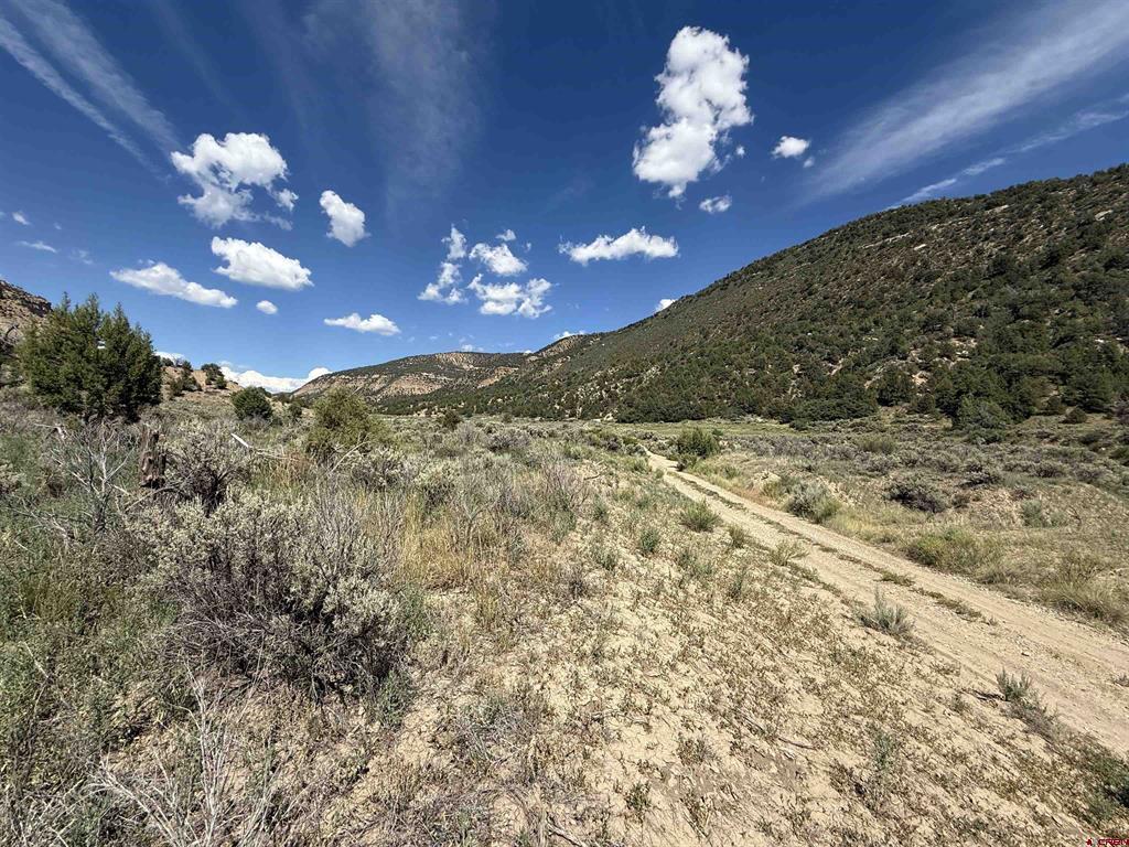 Tbd Road 41 Property Photo 16
