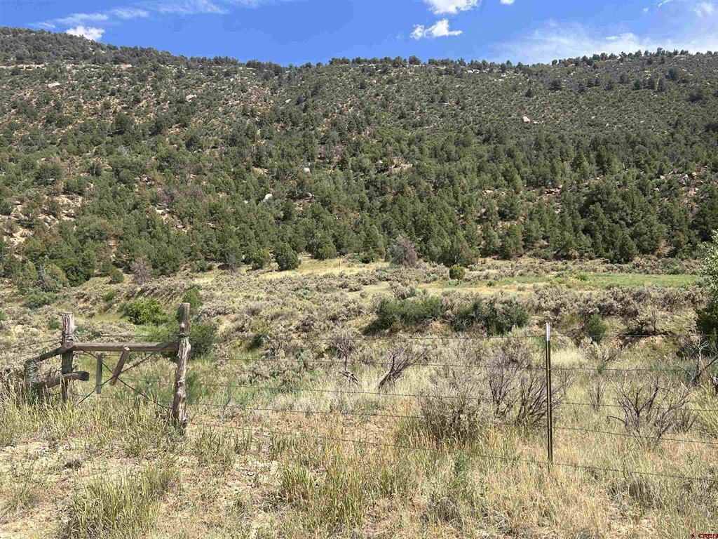 Tbd Road 41 Property Photo 19