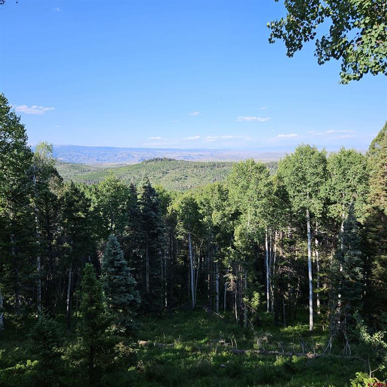 220 Ridge Road Property Photo 30