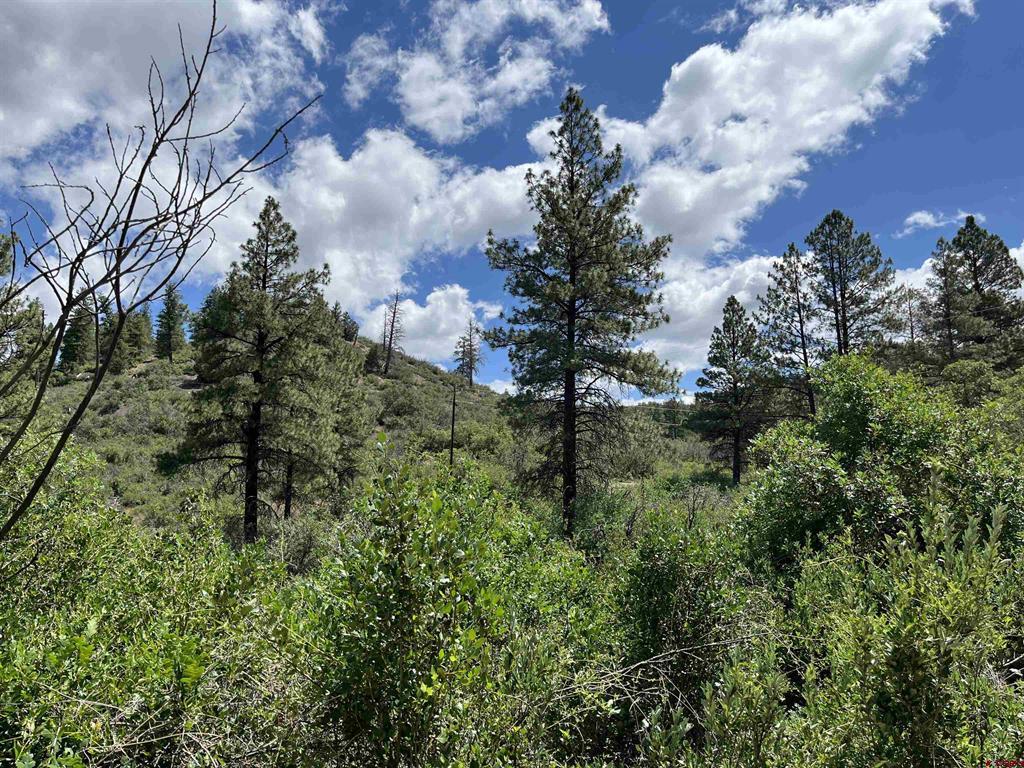 278 Pineridge Trail Property Photo 1