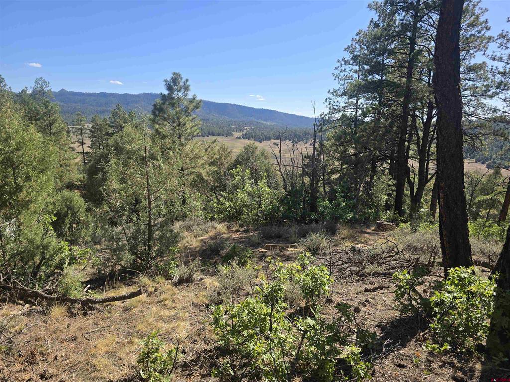 147 Cat Creek Overlook