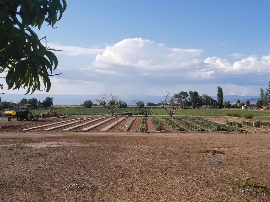 62915 Spring Creek Road Property Photo 4