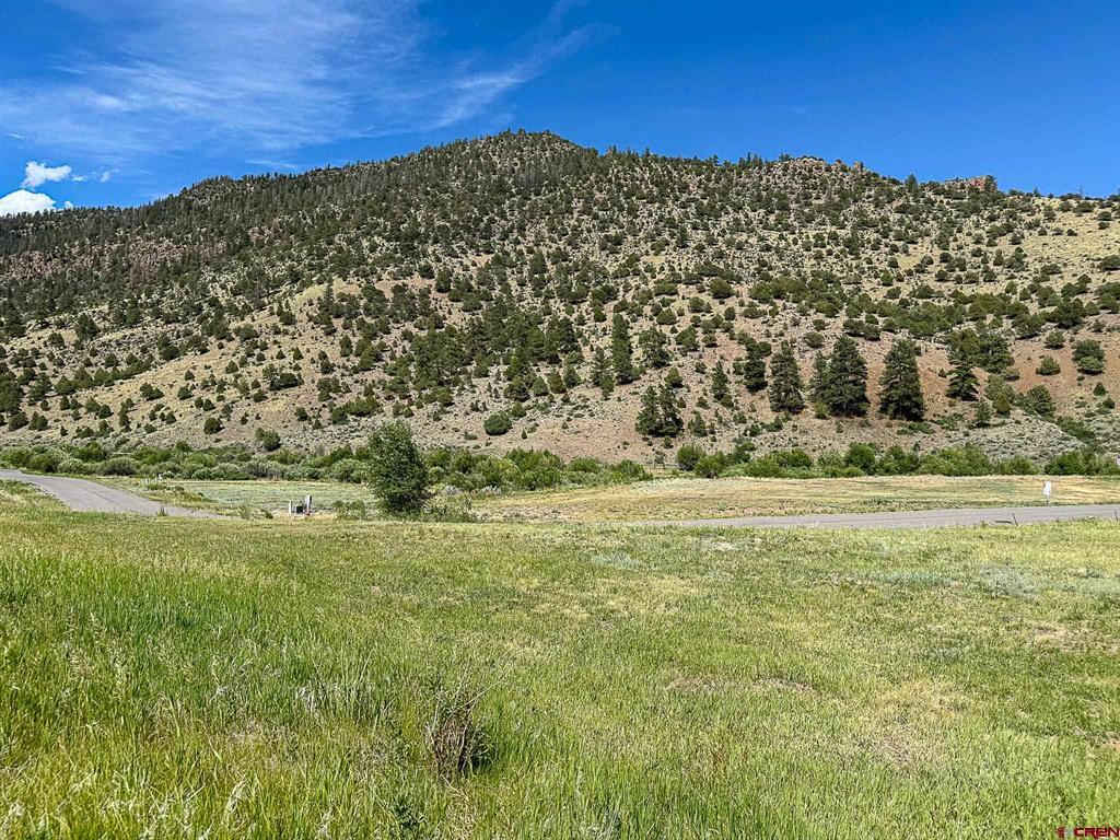61 N Alder Creek Lane Property Photo 1