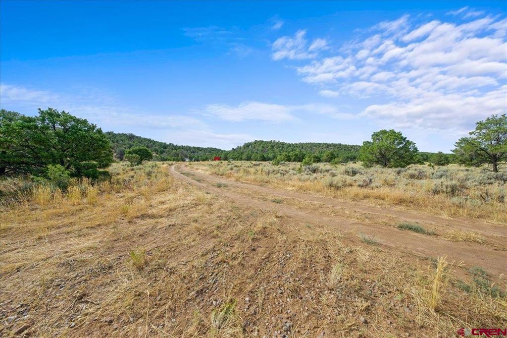 267 County Road 1e Property Photo 8